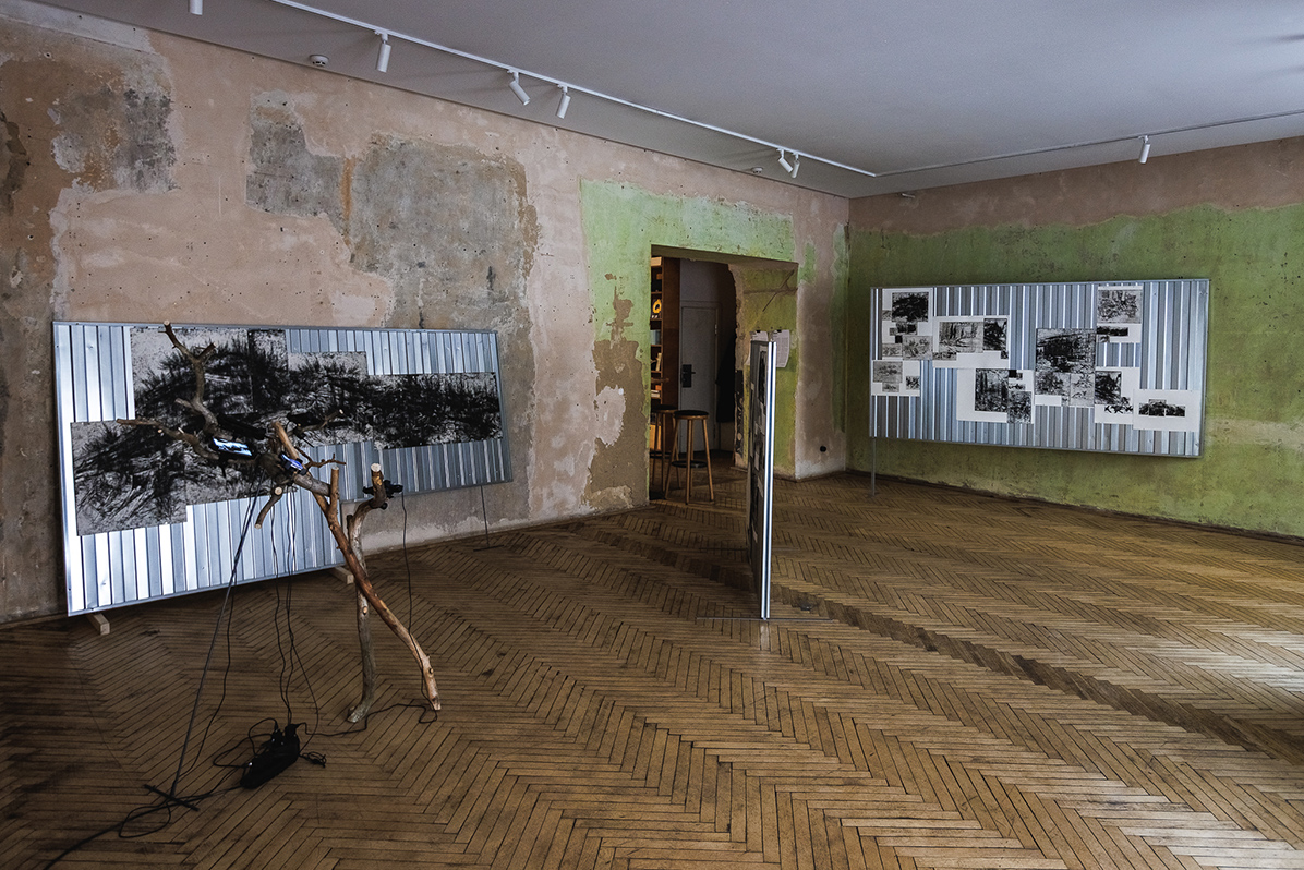 taras kovach naked room 1