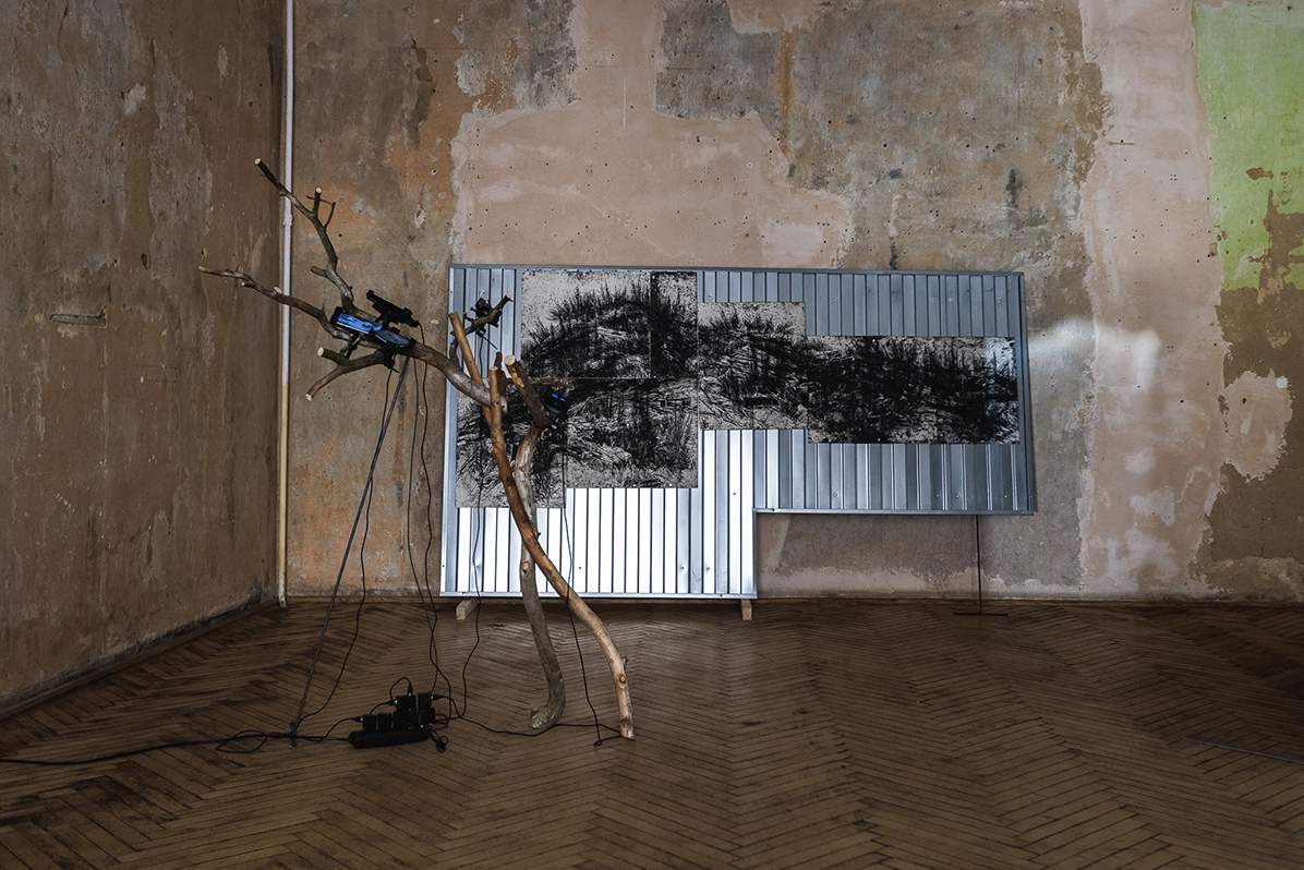 taras kovach naked room 2