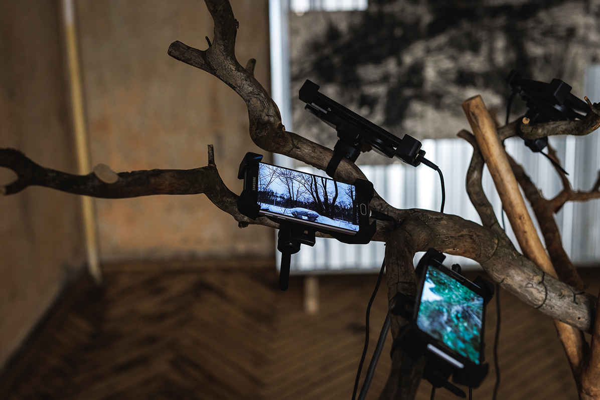 taras kovach naked room 3