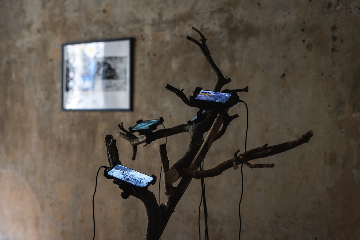 taras kovach naked room 4