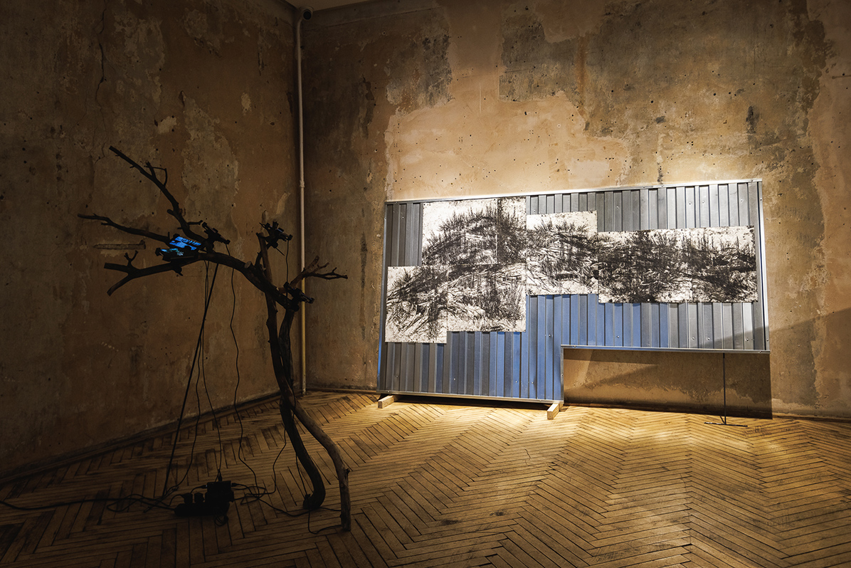 taras kovach naked room 6