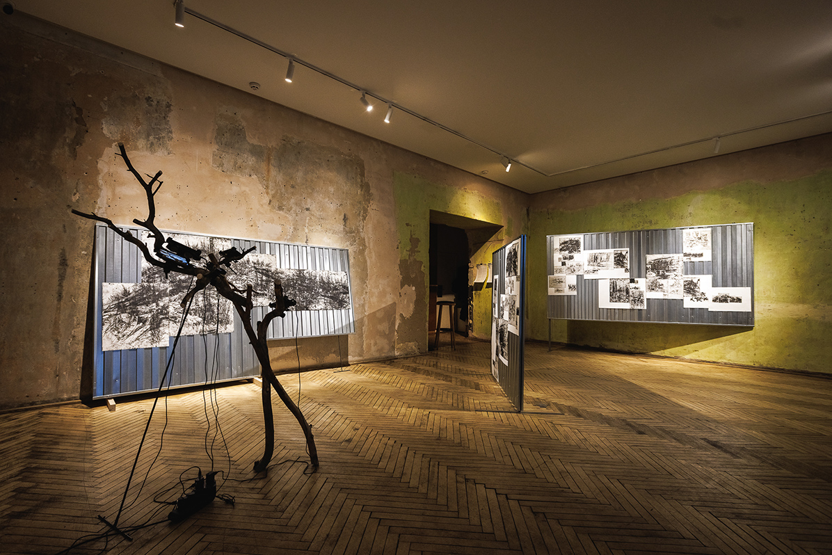 taras kovach naked room 7