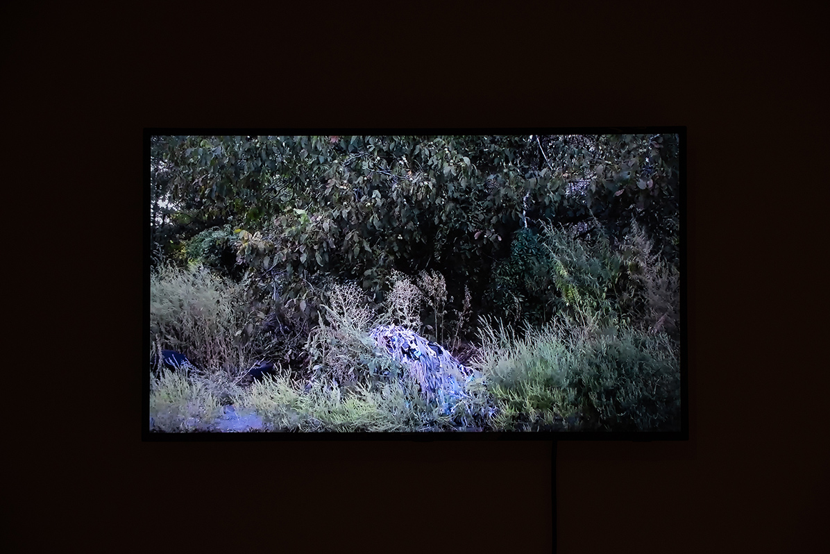 taras kovach rumble 5